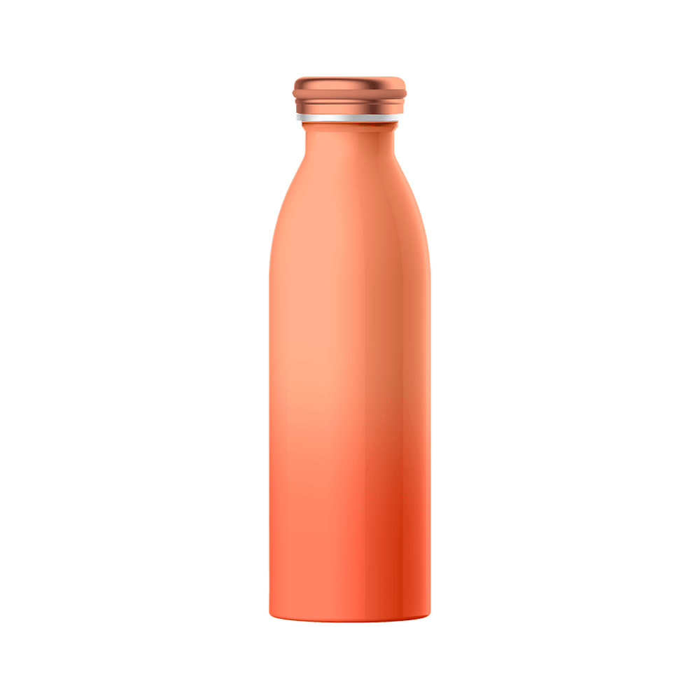 Bottiglia termica 500 ml